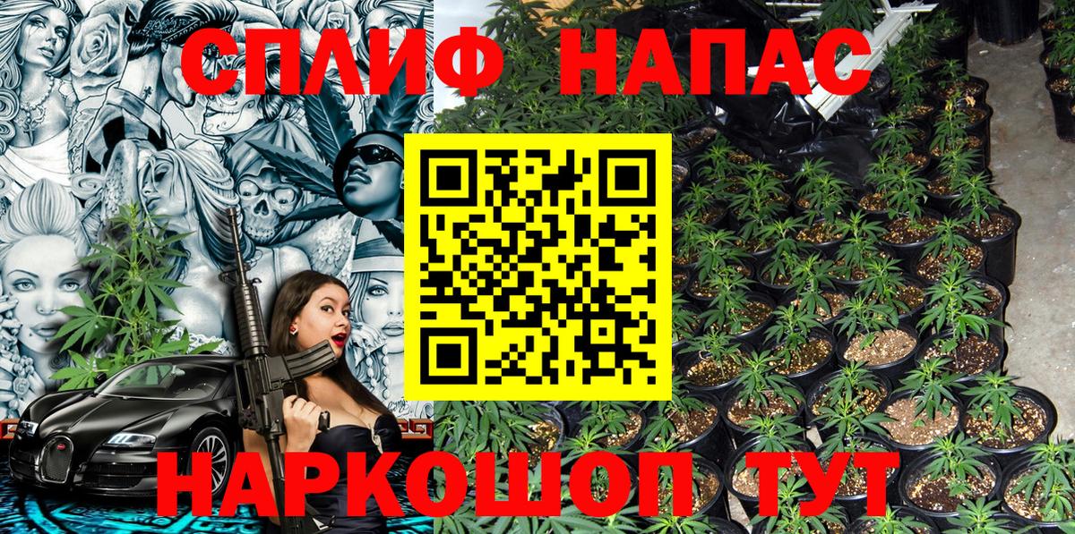 Бошки марихуана Bruce Banner  Вход с VPN  Всеволожск  Бошки марихуана семена  Бошки марихуана White Widow 