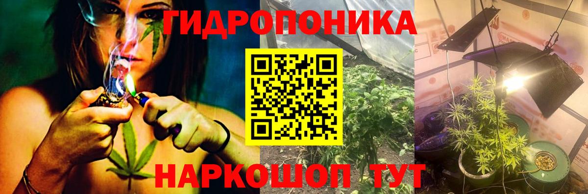 Бошки Шишки OG Kush Всеволожск